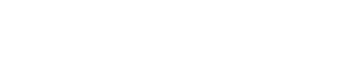Web Coding Solutions footer logo